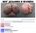 Прикольные картинки, новая подборка мемов 1522923930_prikolnie-kartinki-060.jpg