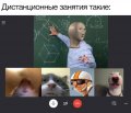 Мемы дистанционка самоизоляция 1589194192_mem-distanchonka-08.jpg