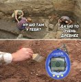 Мемы, смешные мемы 2020 скачать 1589195560_mem-24.jpg