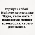Мемы анекдоты картинки с надписями 1590588264_mem-anekdot-33.jpg